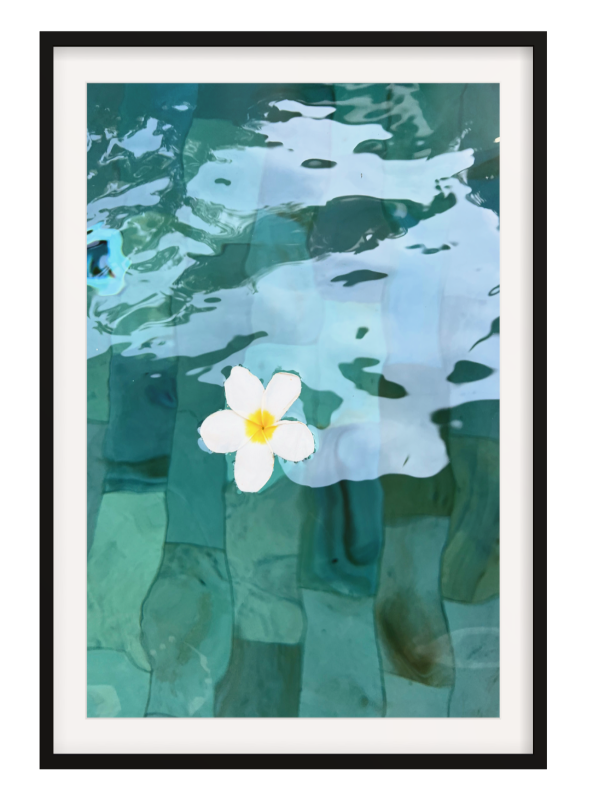 black Framed artwork with border of a flower floating on water with a black frame.