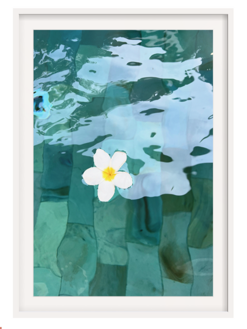 White Framed with border artwork of a white flower with a yellow center floating on water.