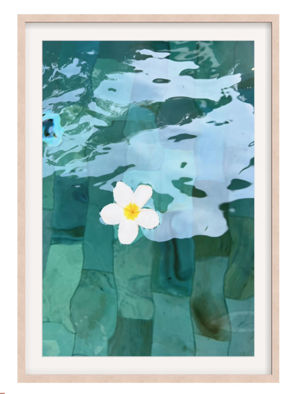 Framed artwork of a flower floating on water with a wooden frame.