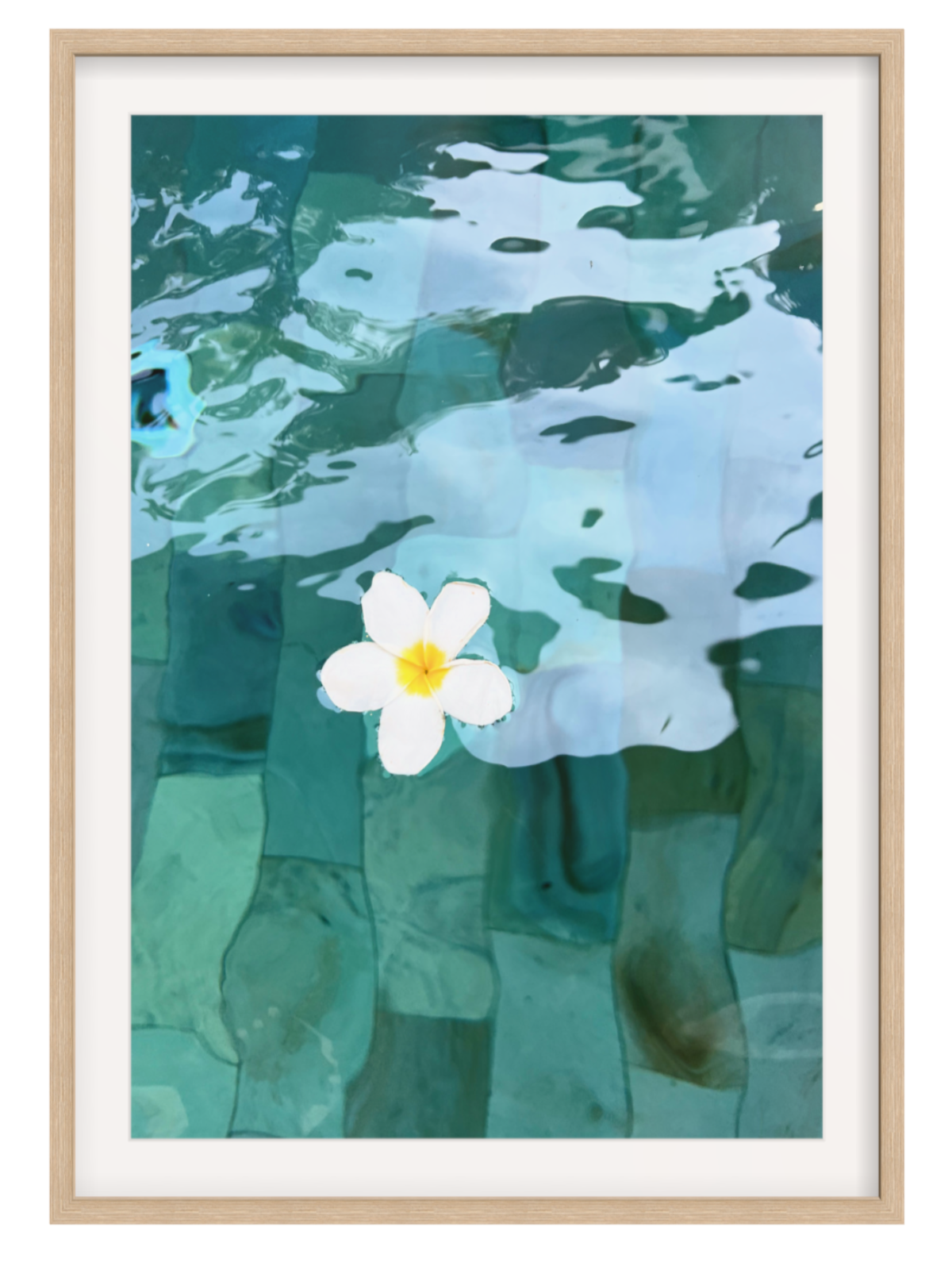 oak Framed artwork of a white flower floating on water with a natural wood frame.