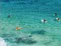 People on surfboards in clear blue water
