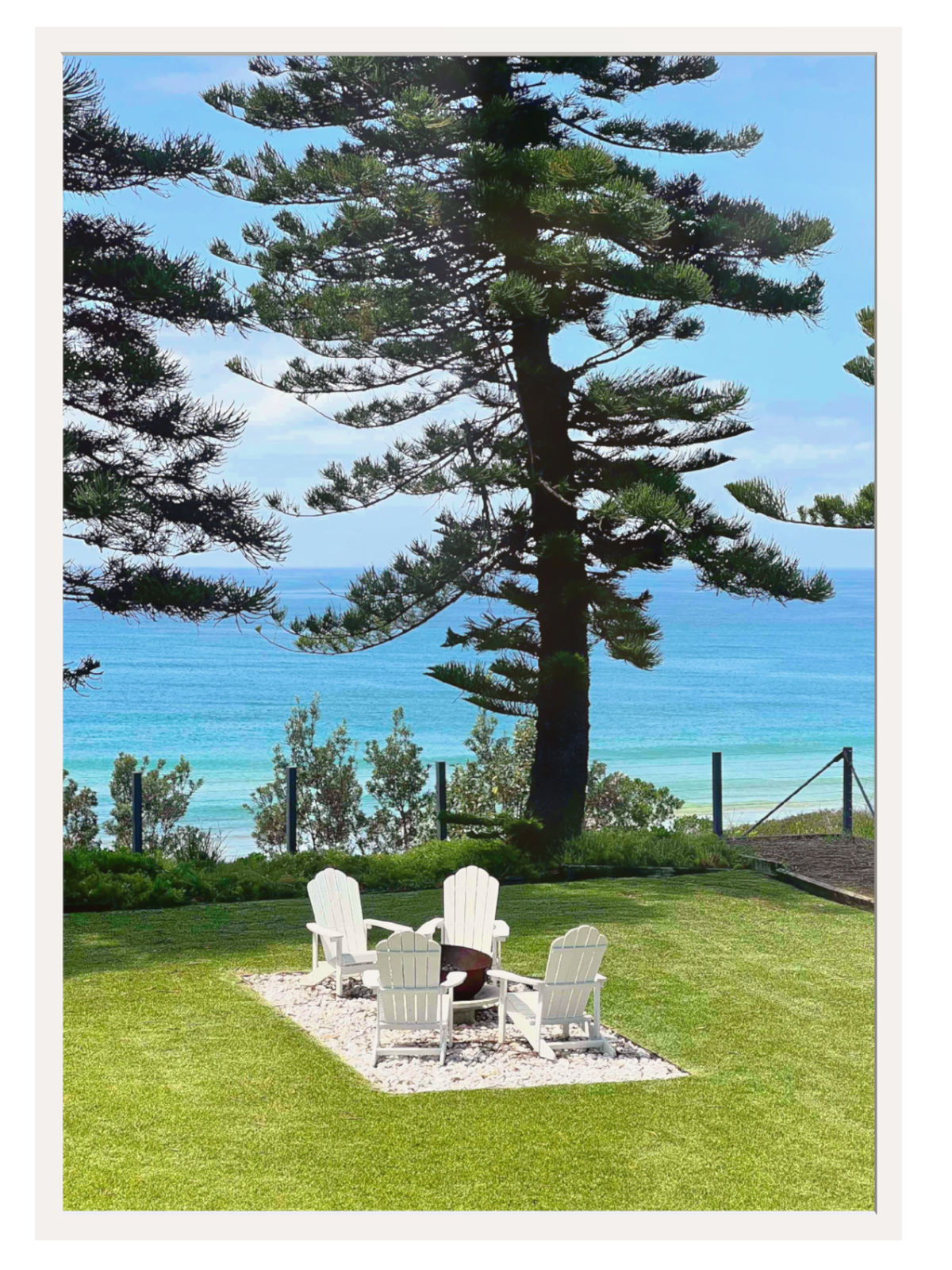 Culburra Beach House coastal art print with Norfolk Island pine and Adirondack chairs