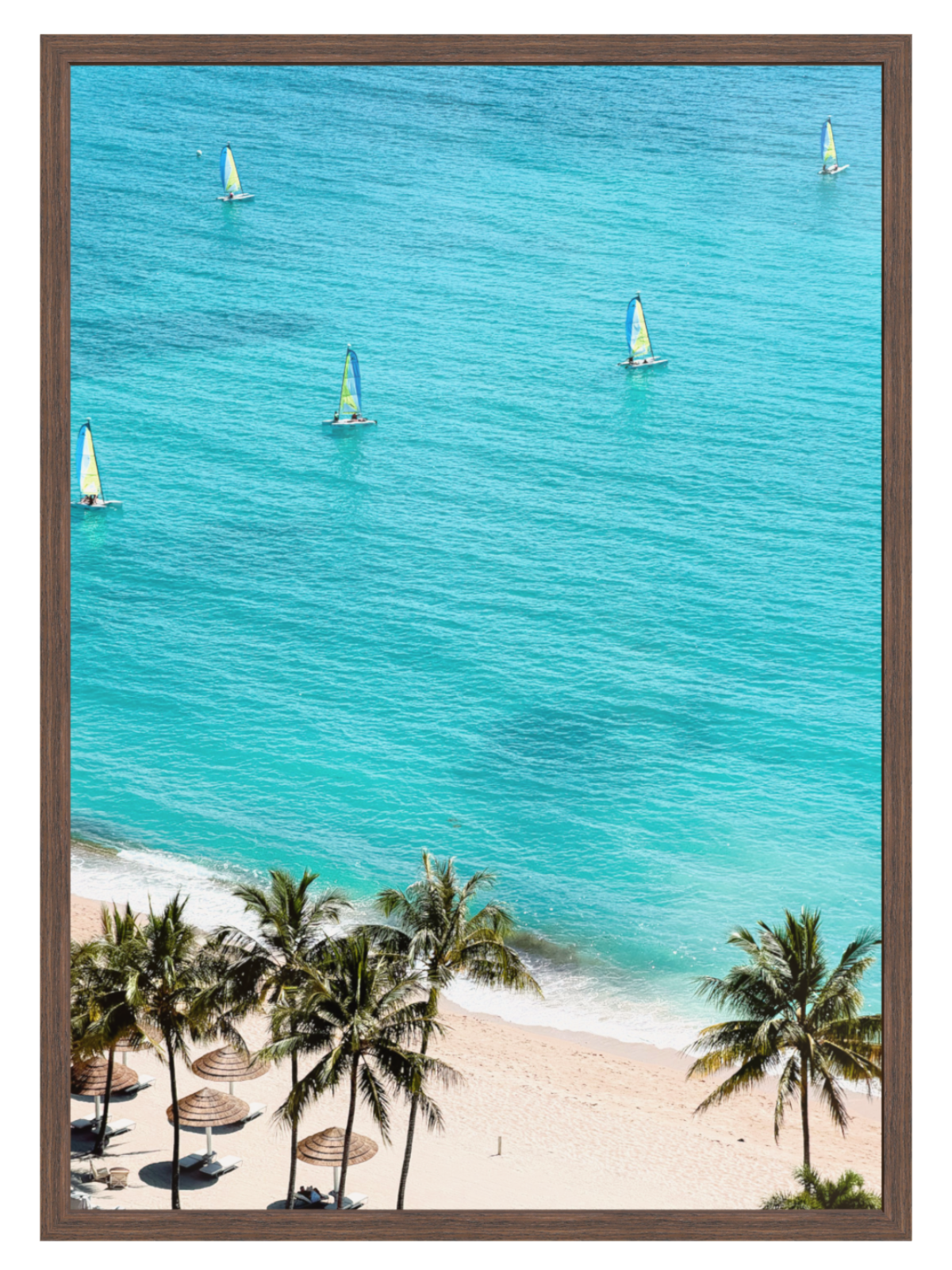 Catseye Beach palm tree choc frame