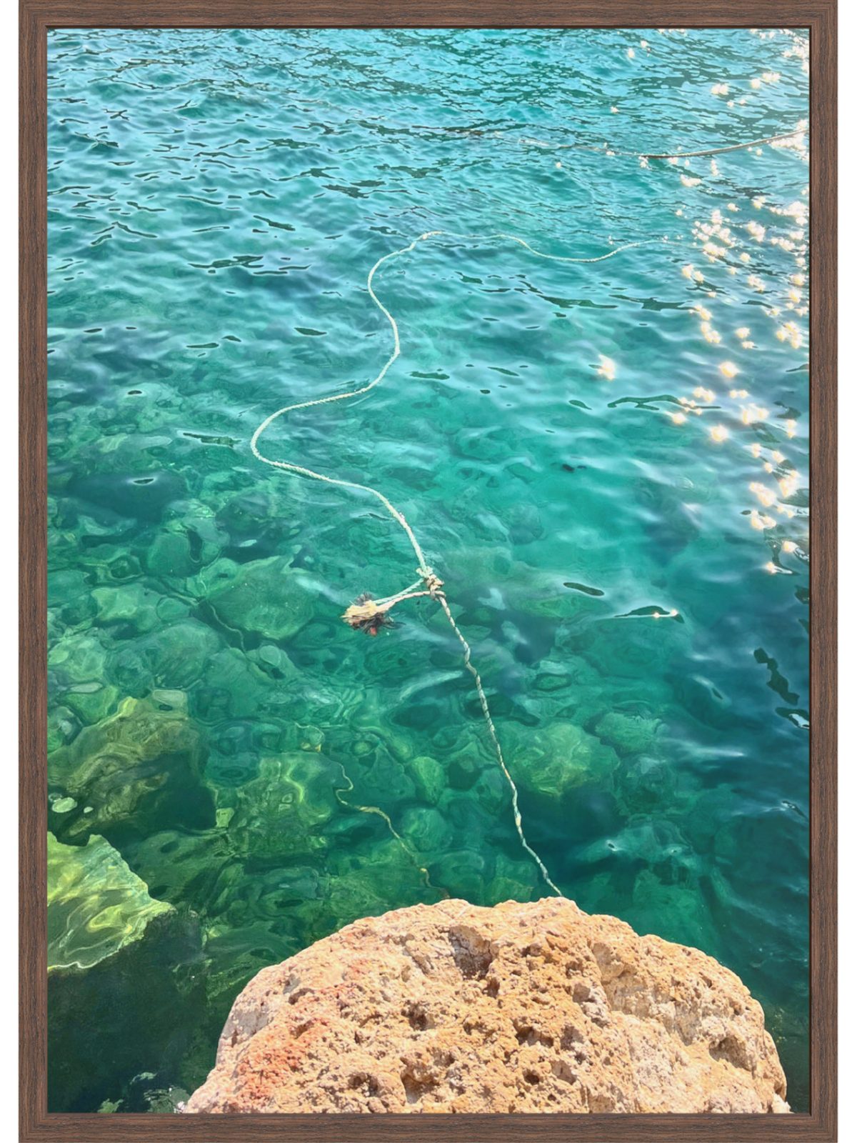 Firopotamos III dark wood framed wall art with diagonal rope and greenish seabed texture