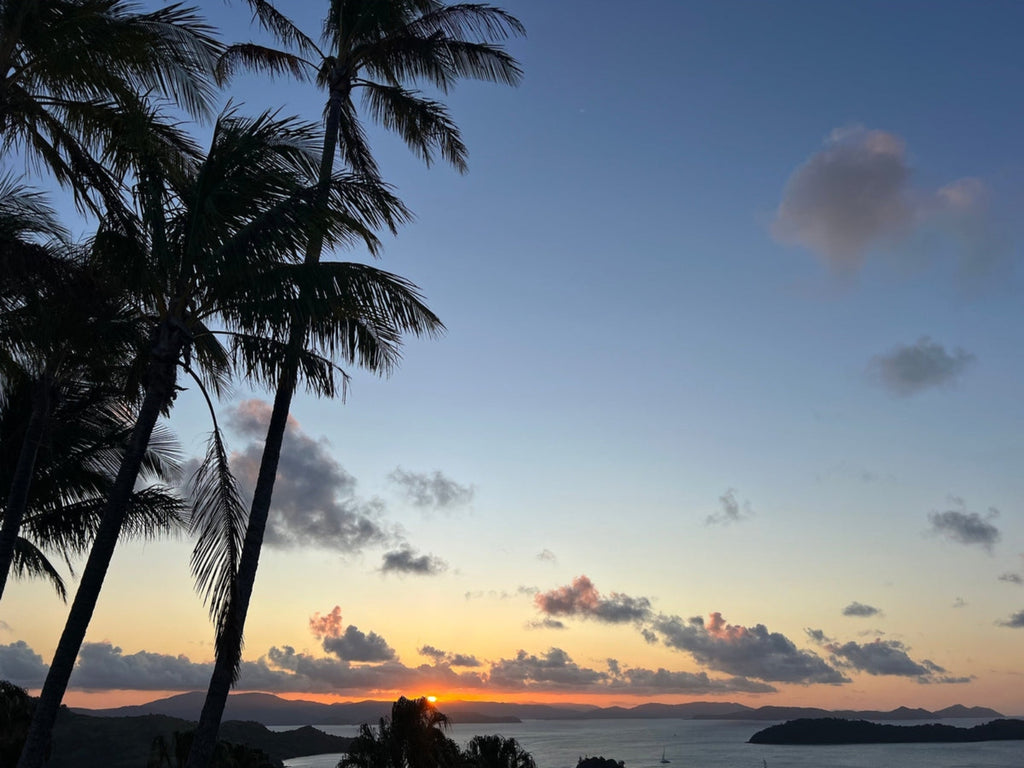 Tropical sunset with palm trees and a clear sky