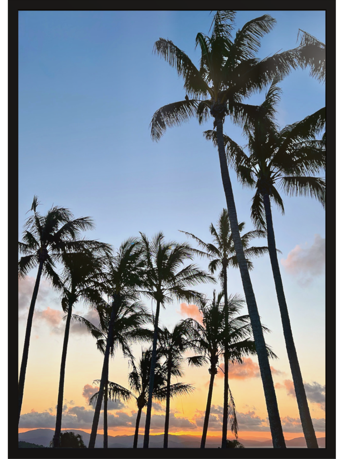 Silhouettes of palm trees against a colorful sunset sky