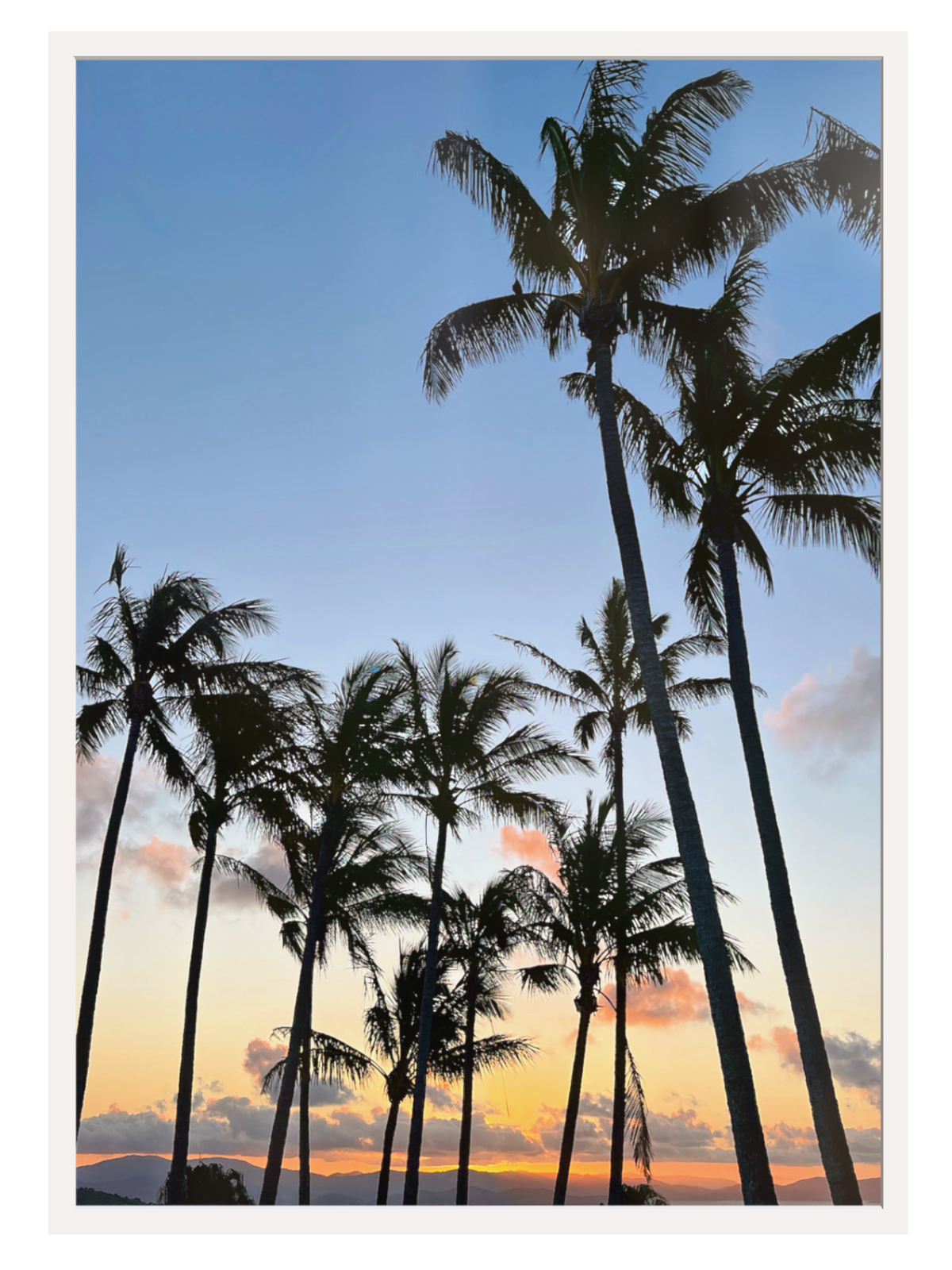 Silhouettes of palm trees against a colorful sunset sky