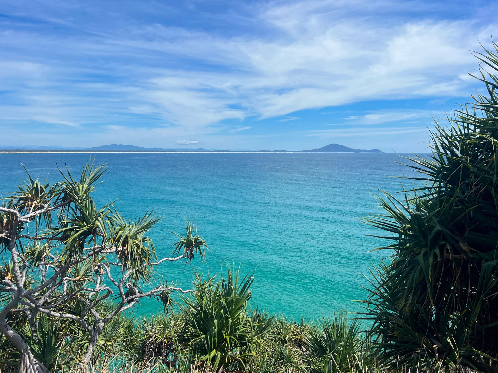 Tropical landscape with turquoise ocean, clear blue sky, and green foliage.