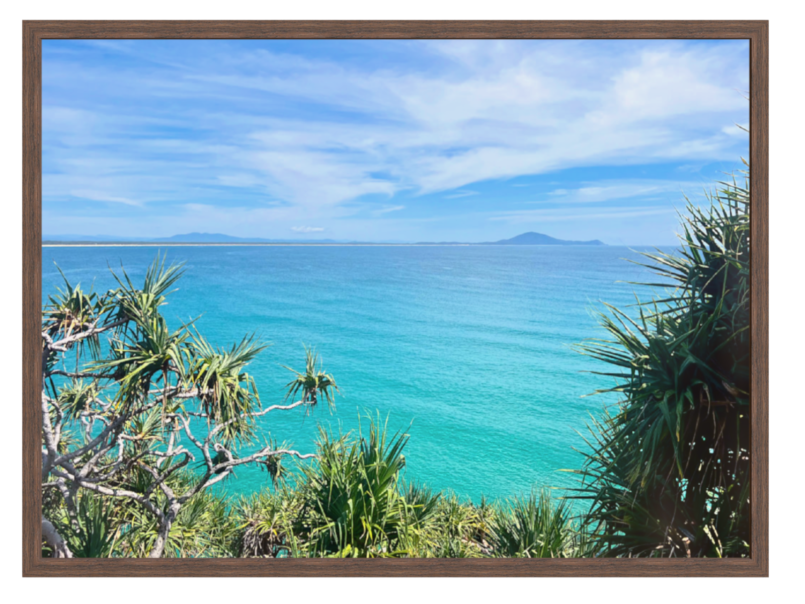 Scenic view of a tropical beach with clear blue water and sky, framed by green foliage.