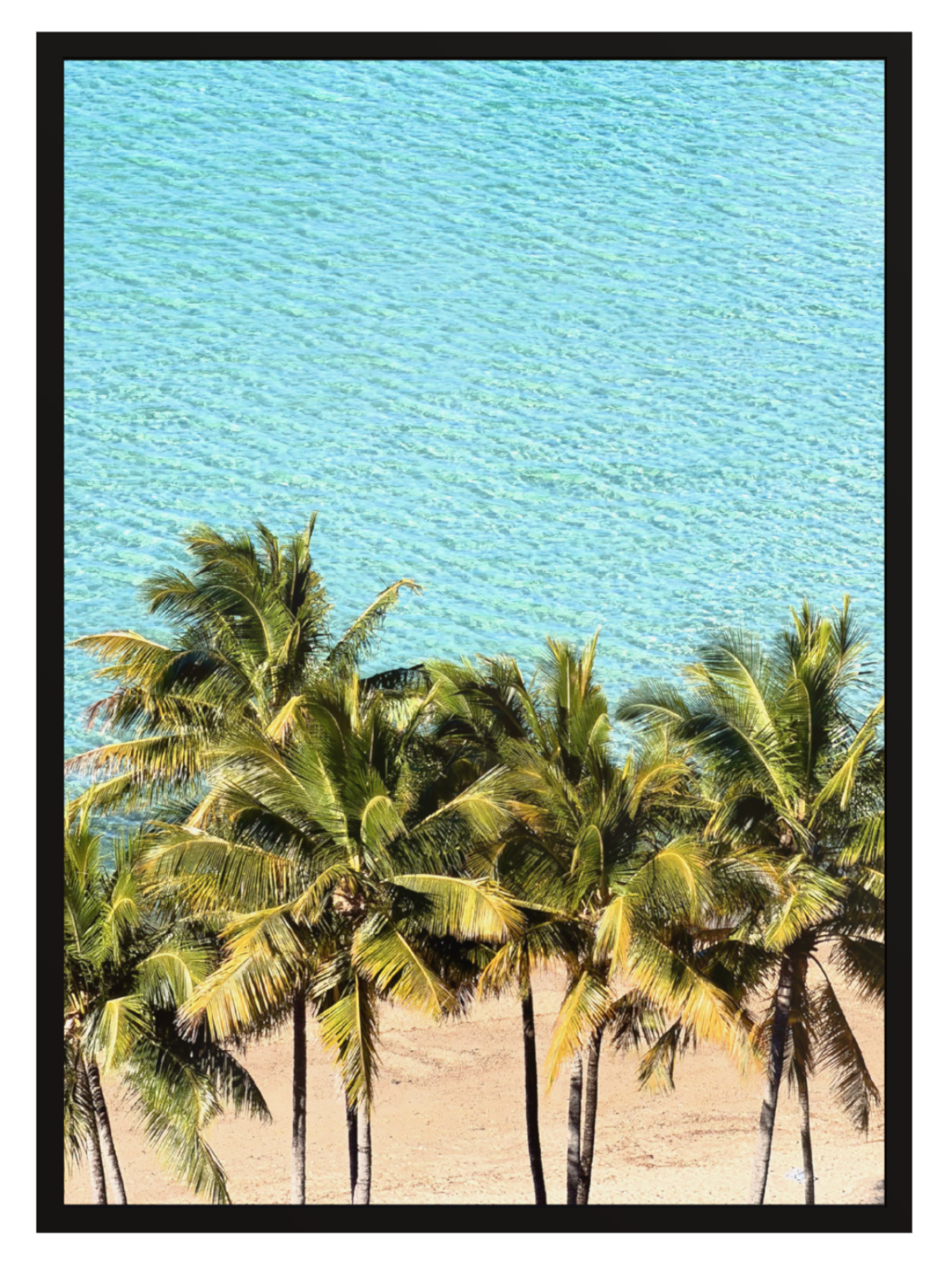 Palm Tree Paradise black frame