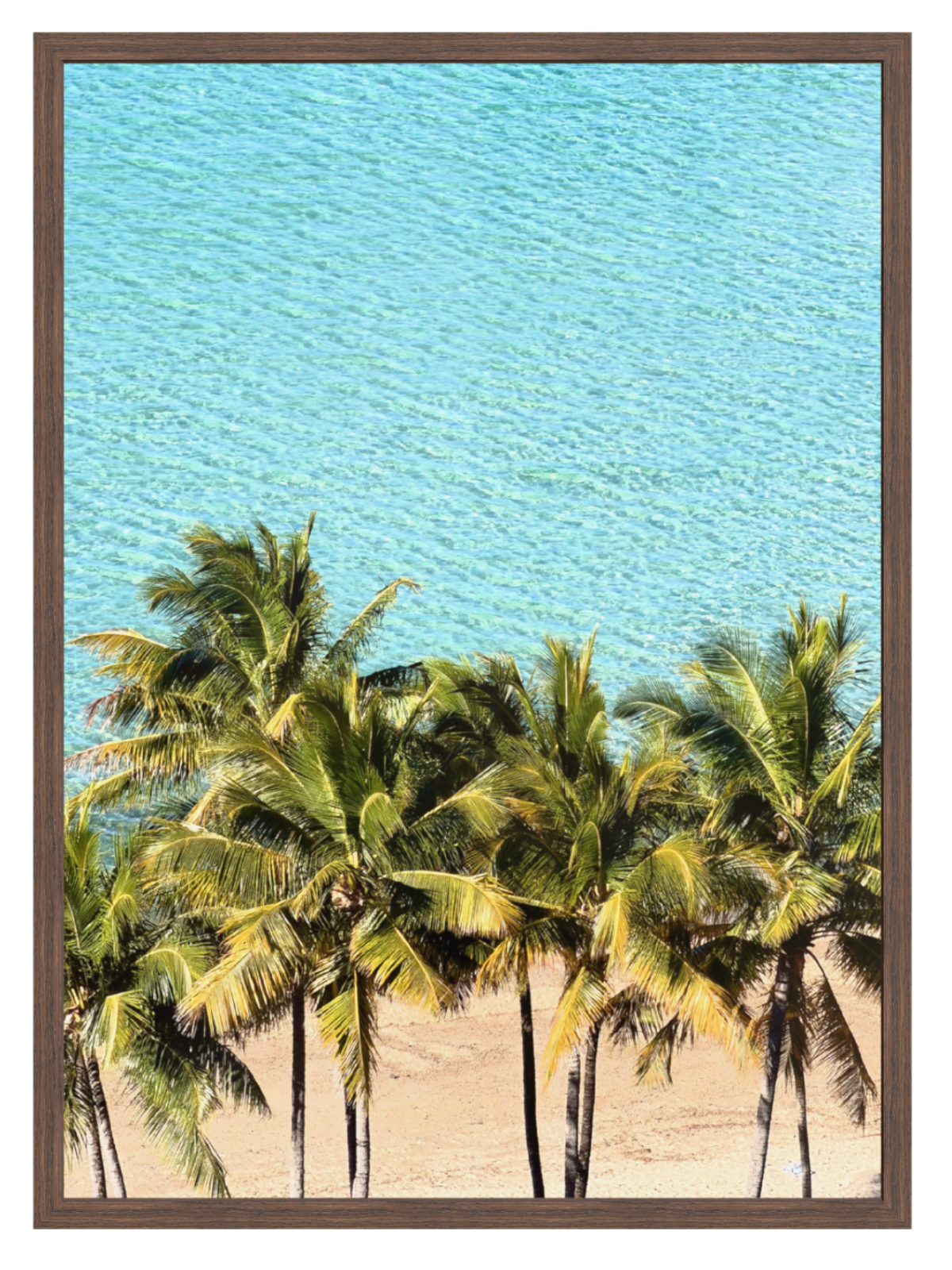 Palm Tree Paradise choc frame