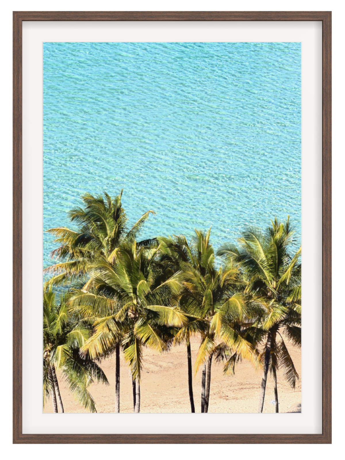 Palm Tree Paradise choc frame