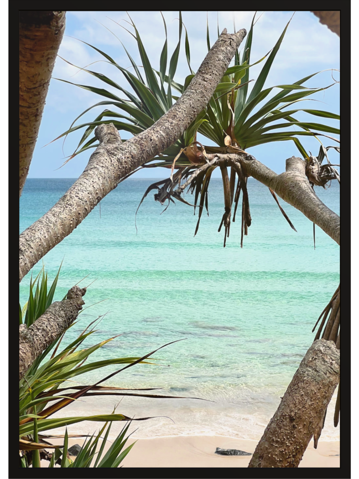Rainbow Bay Australia framed beach photo in thick black matte frame without matting