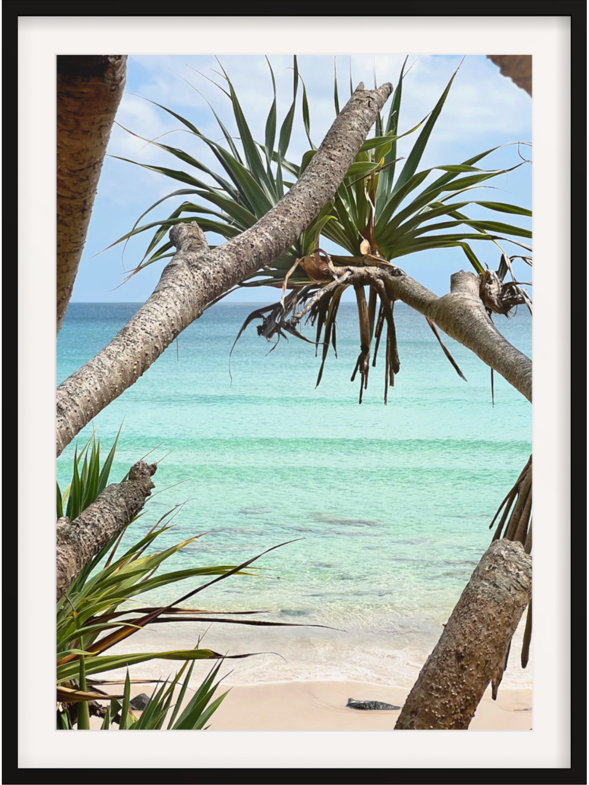 Rainbow Bay Australia framed coastal print in black frame with wide white mat and bright tones