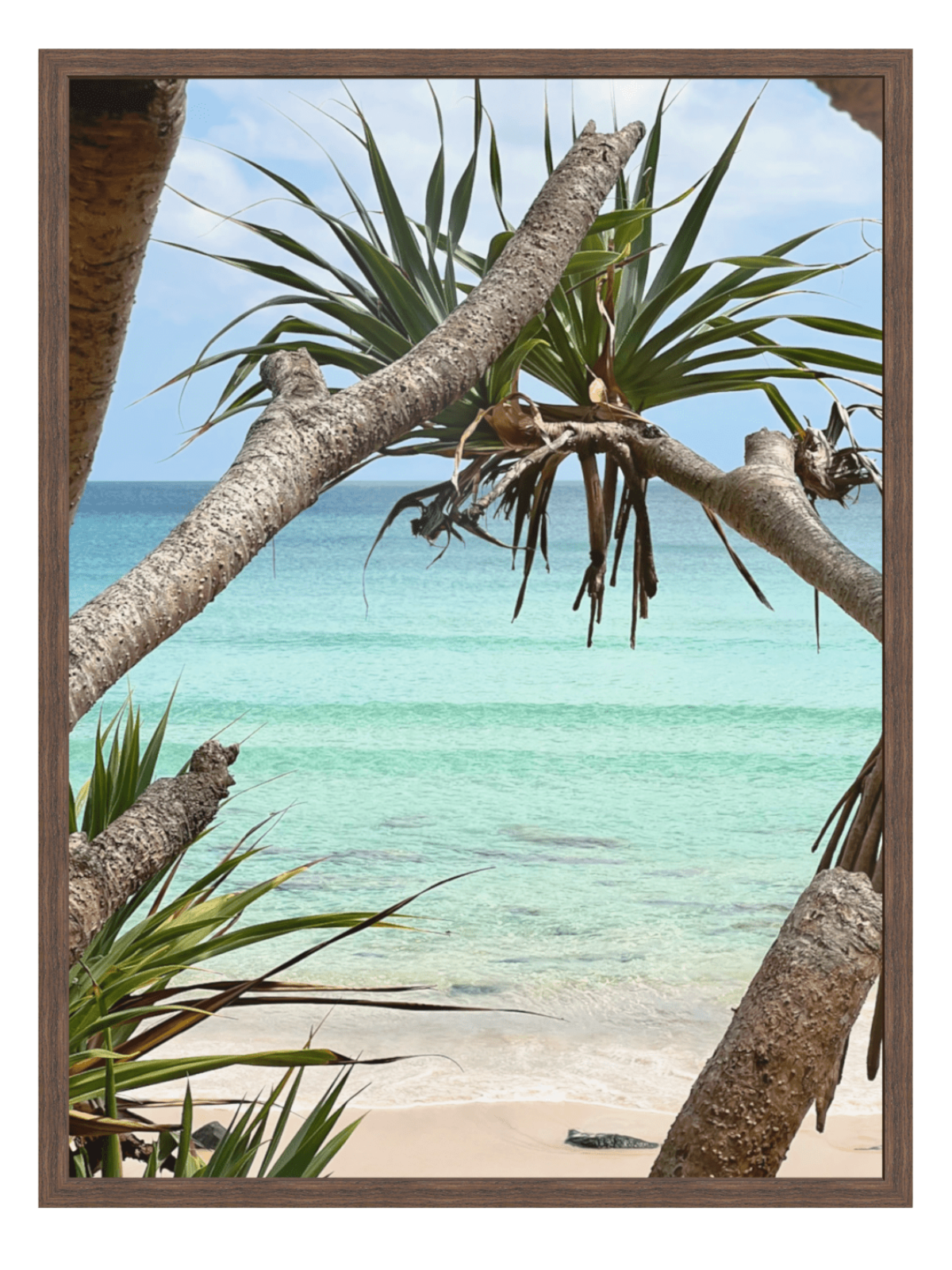 Rainbow Bay Australia framed wall art in dark brown wood with white mat showing turquoise water