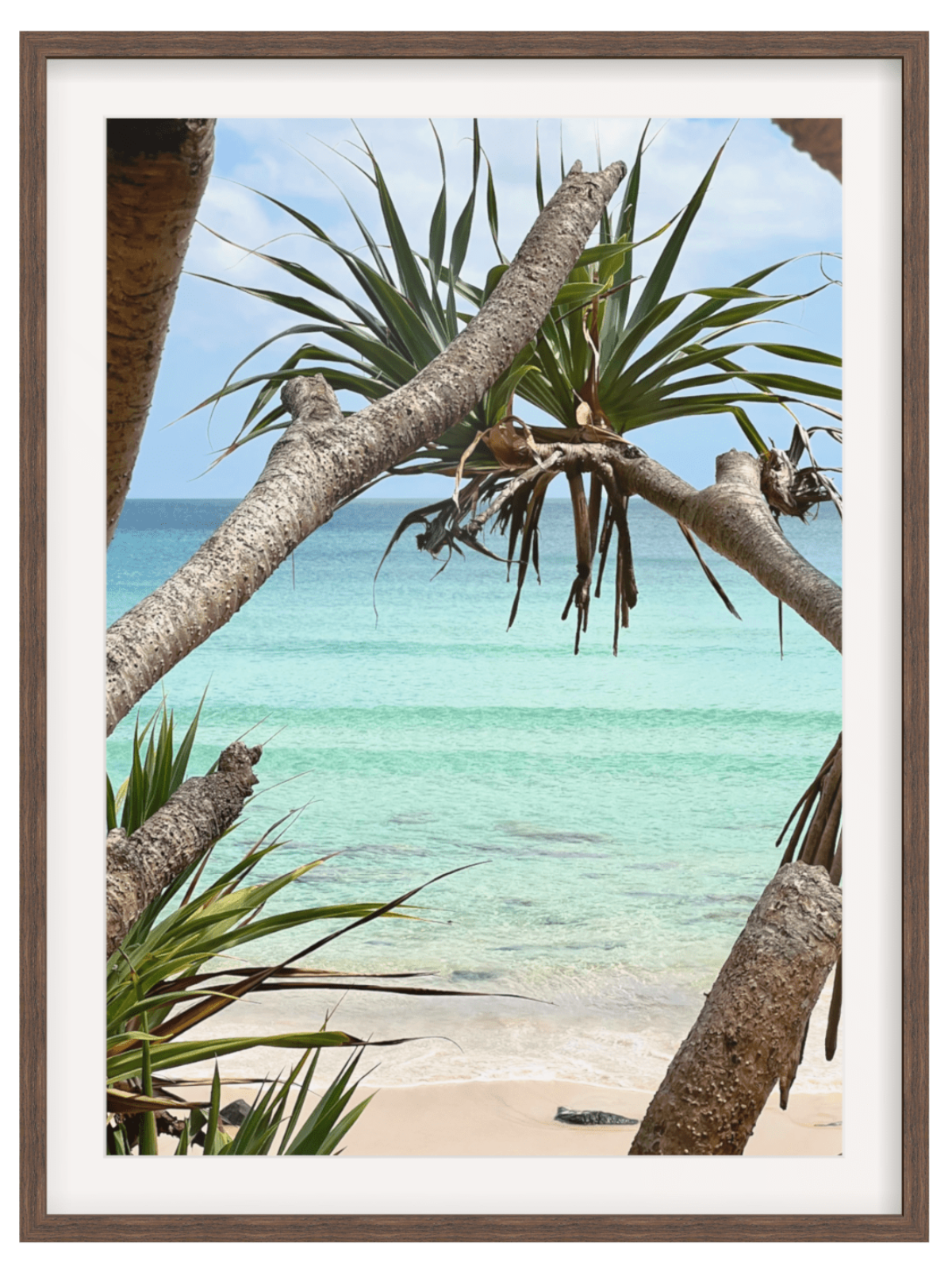 Rainbow Bay Australia framed wall art in dark brown wood with white mat emphasizing natural arch