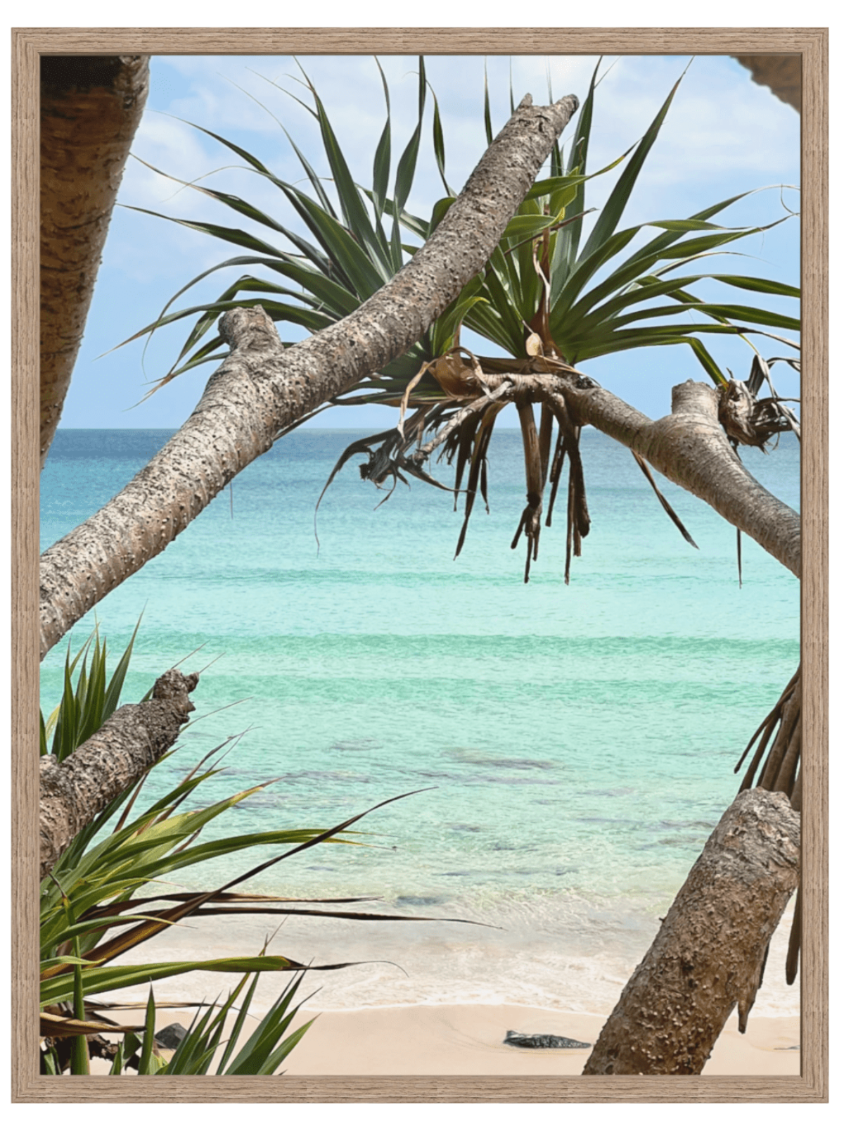 Rainbow Bay Australia framed coastal print in medium wood frame without matting