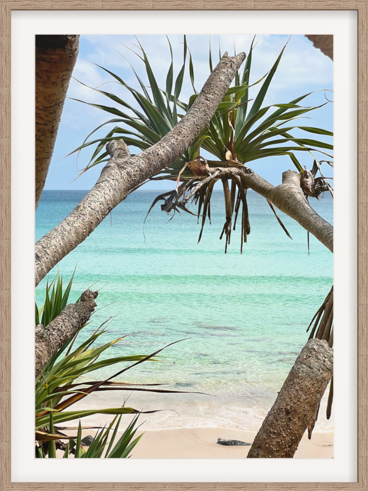 Rainbow Bay Australia framed coastal print in light wood with wide white mat and diagonal branches