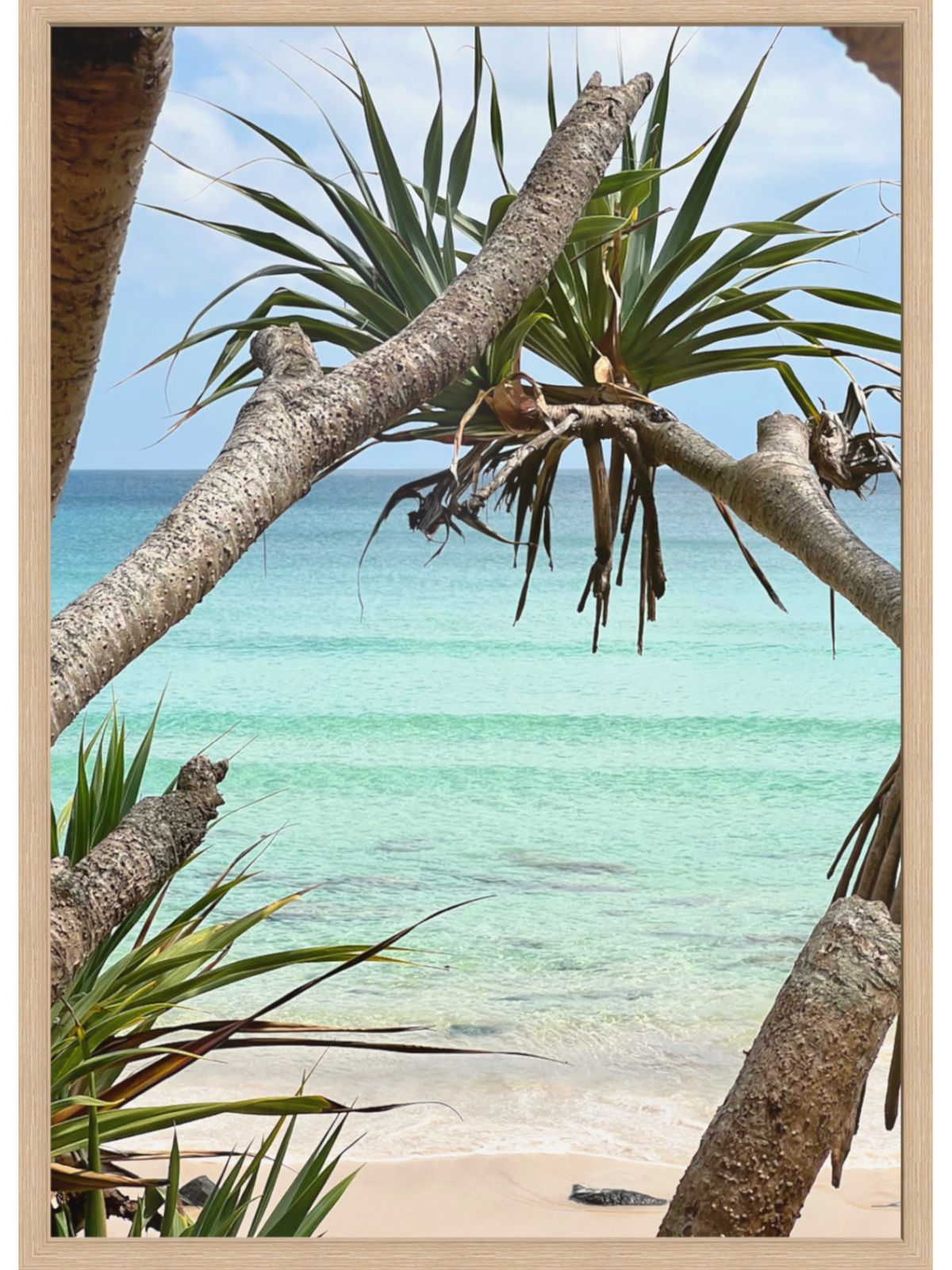 Rainbow Bay Australia framed wall art in light wood with thin profile and white mat