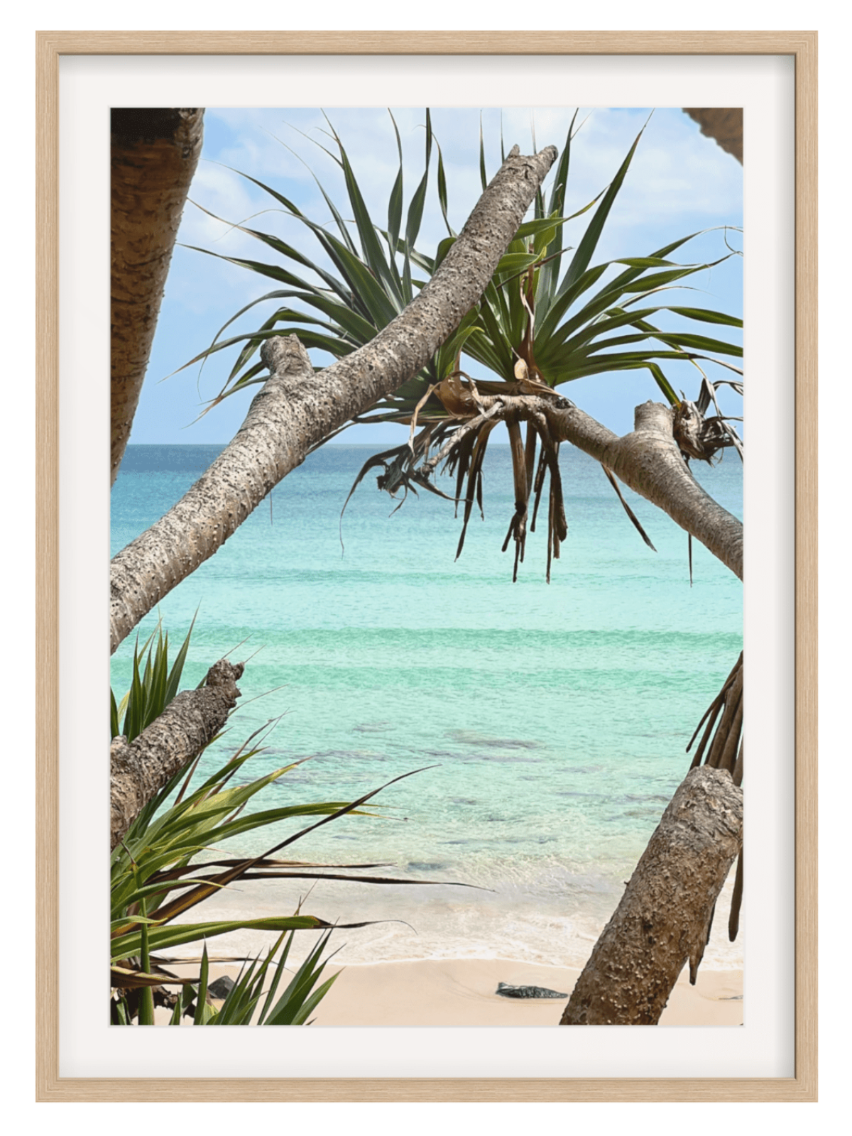 Rainbow Bay Australia framed beach scene in light wood frame with textured gray branches