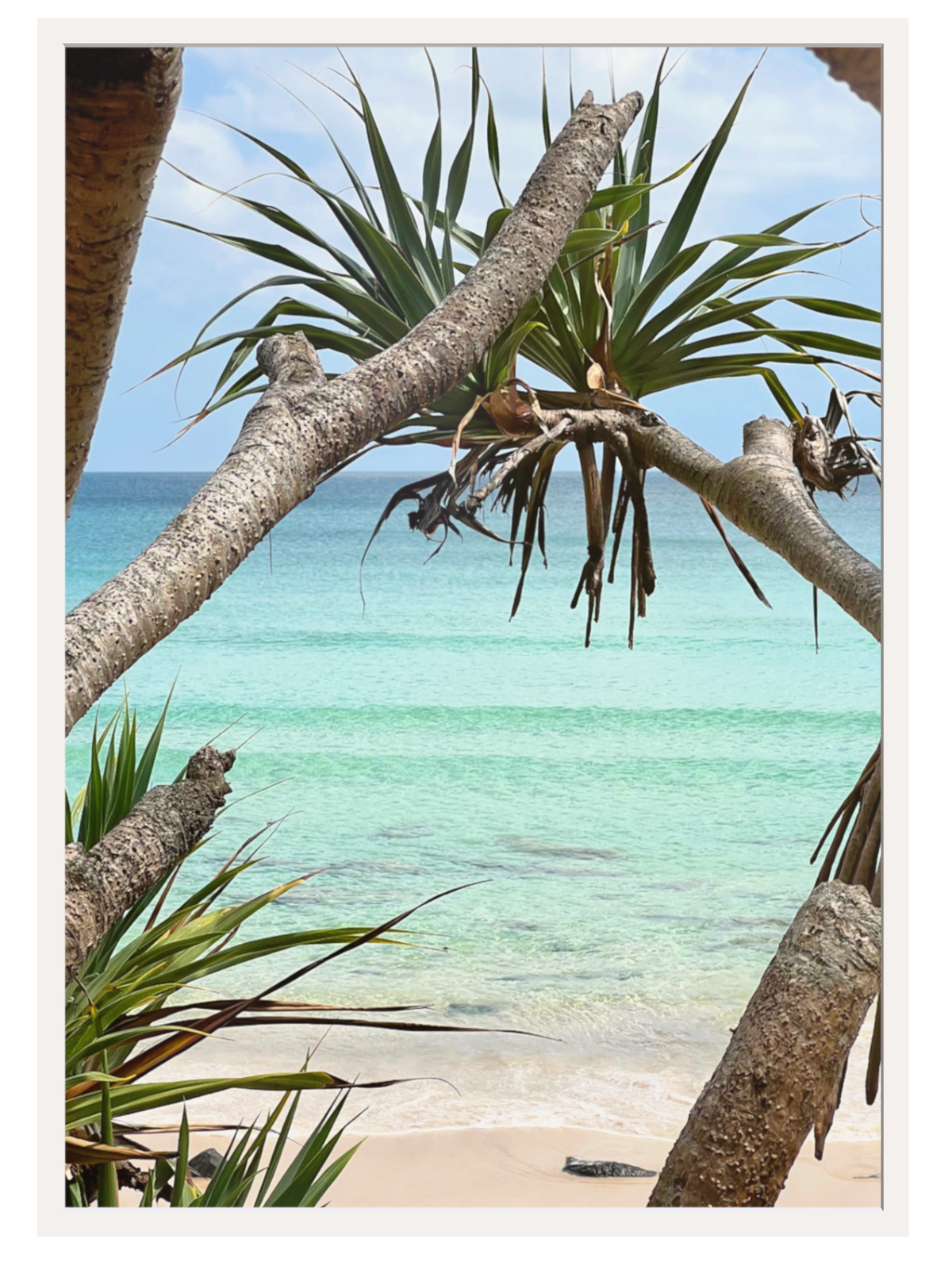 Rainbow Bay Australia framed beach photo with white mat and off-white border