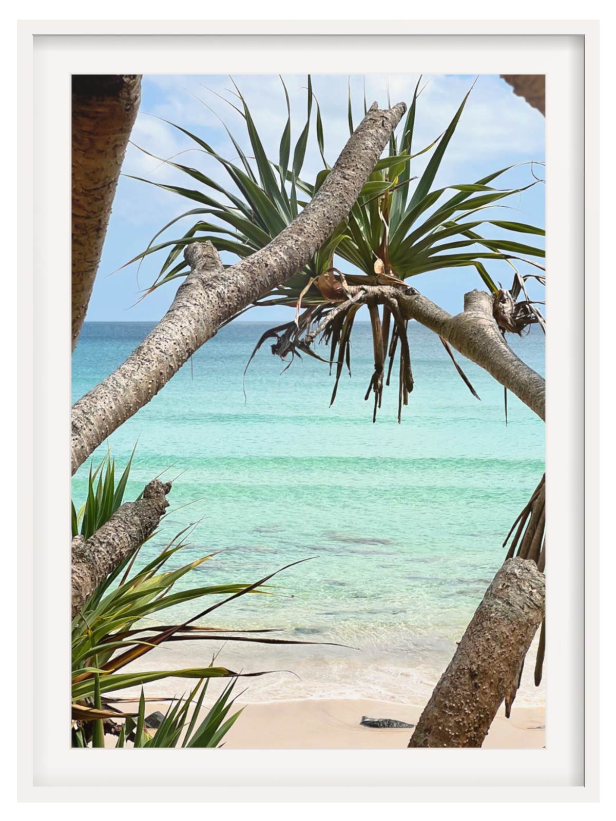 Rainbow Bay Australia framed beach photo in clean white frame with wide white mat