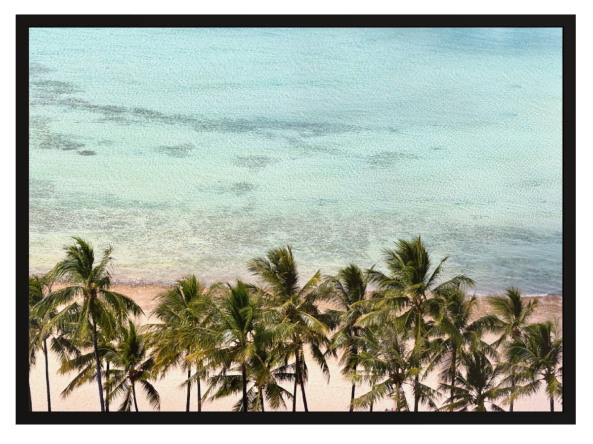 Reef View palm tree black frame