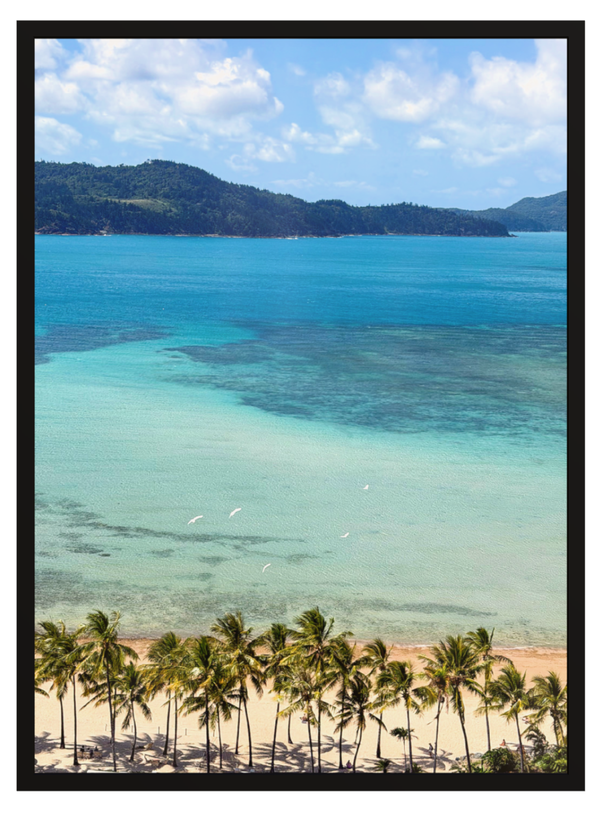 Reef View black frame
