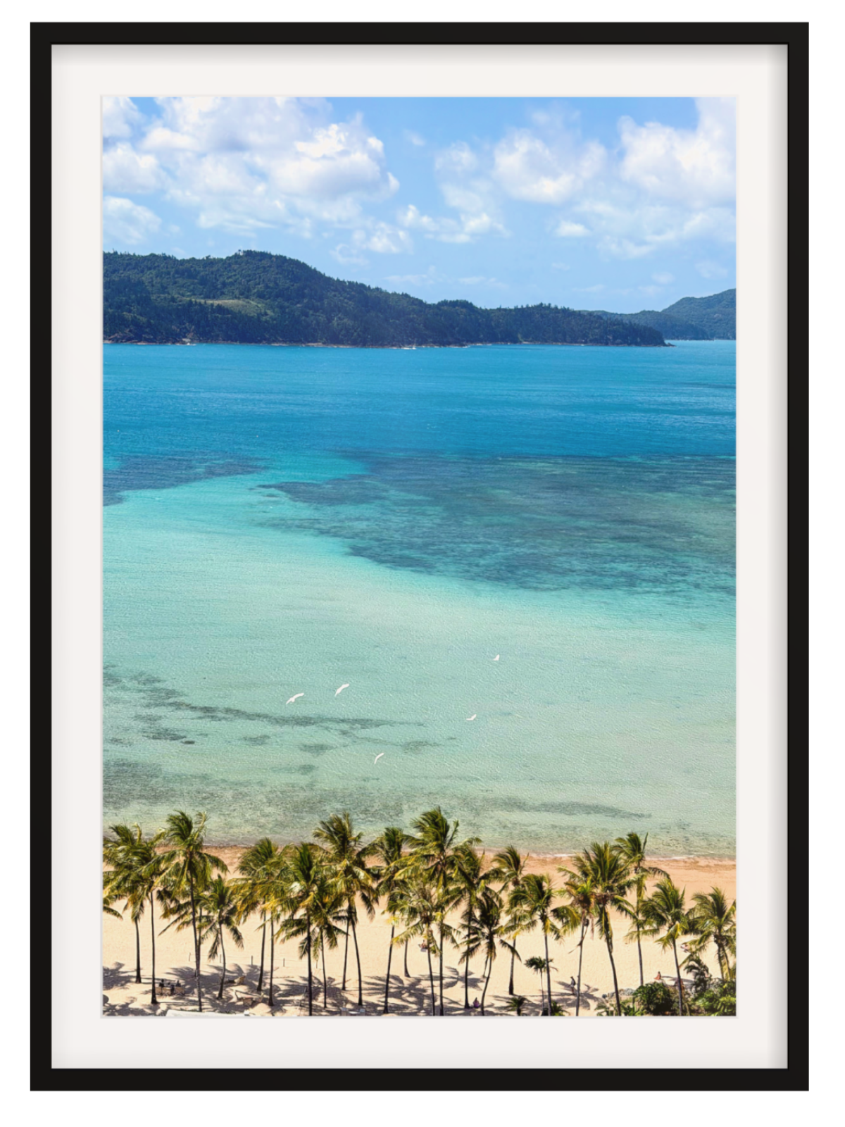 reef view black frame reef view hotel