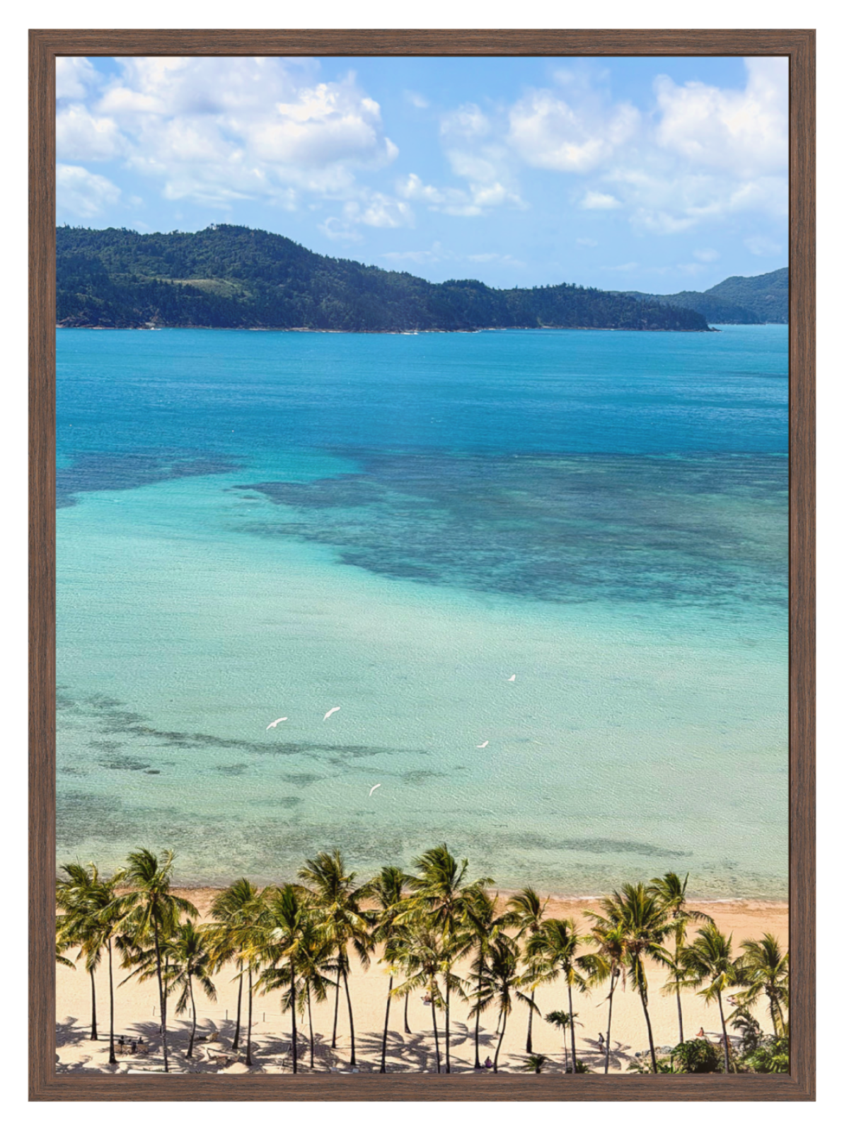Reef View choc frame