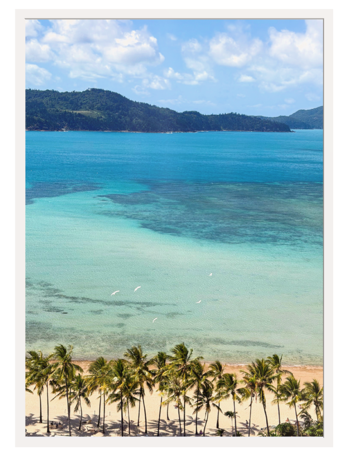 Reef view white frame print