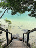 Wooden staircase leading down to a clear body of water with greenery on either side.
