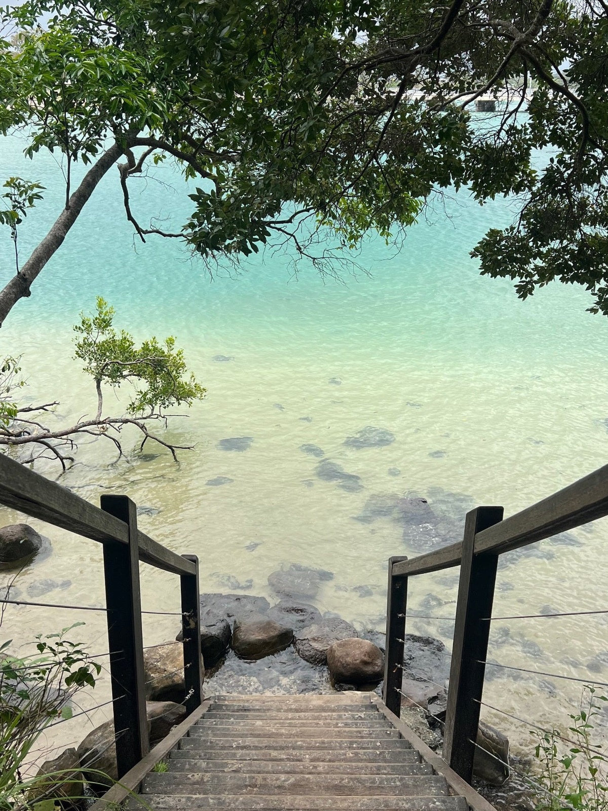 Wooden staircase leading down to a clear body of water with greenery on either side.