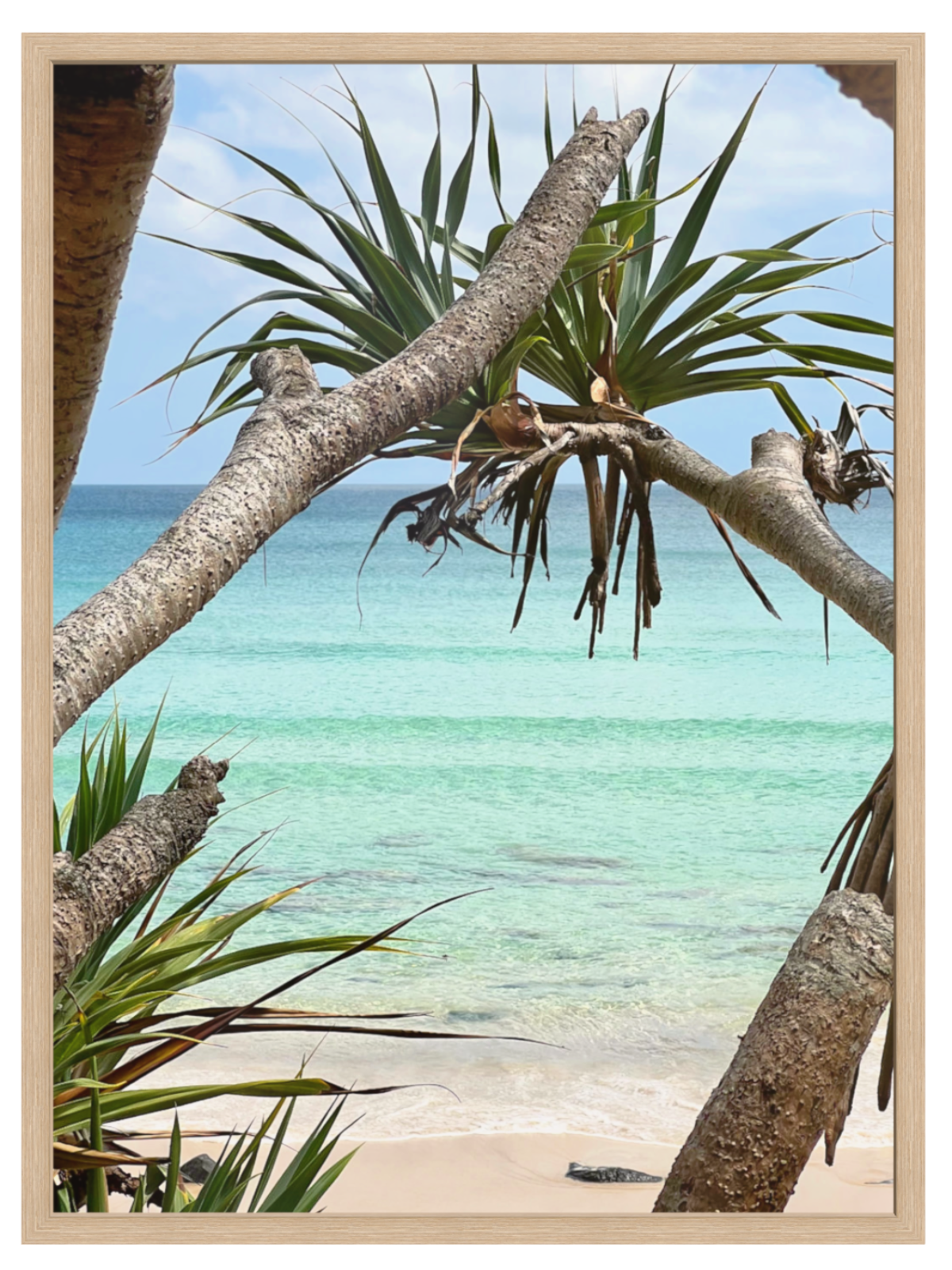 Beach scene with palm trees and clear blue water