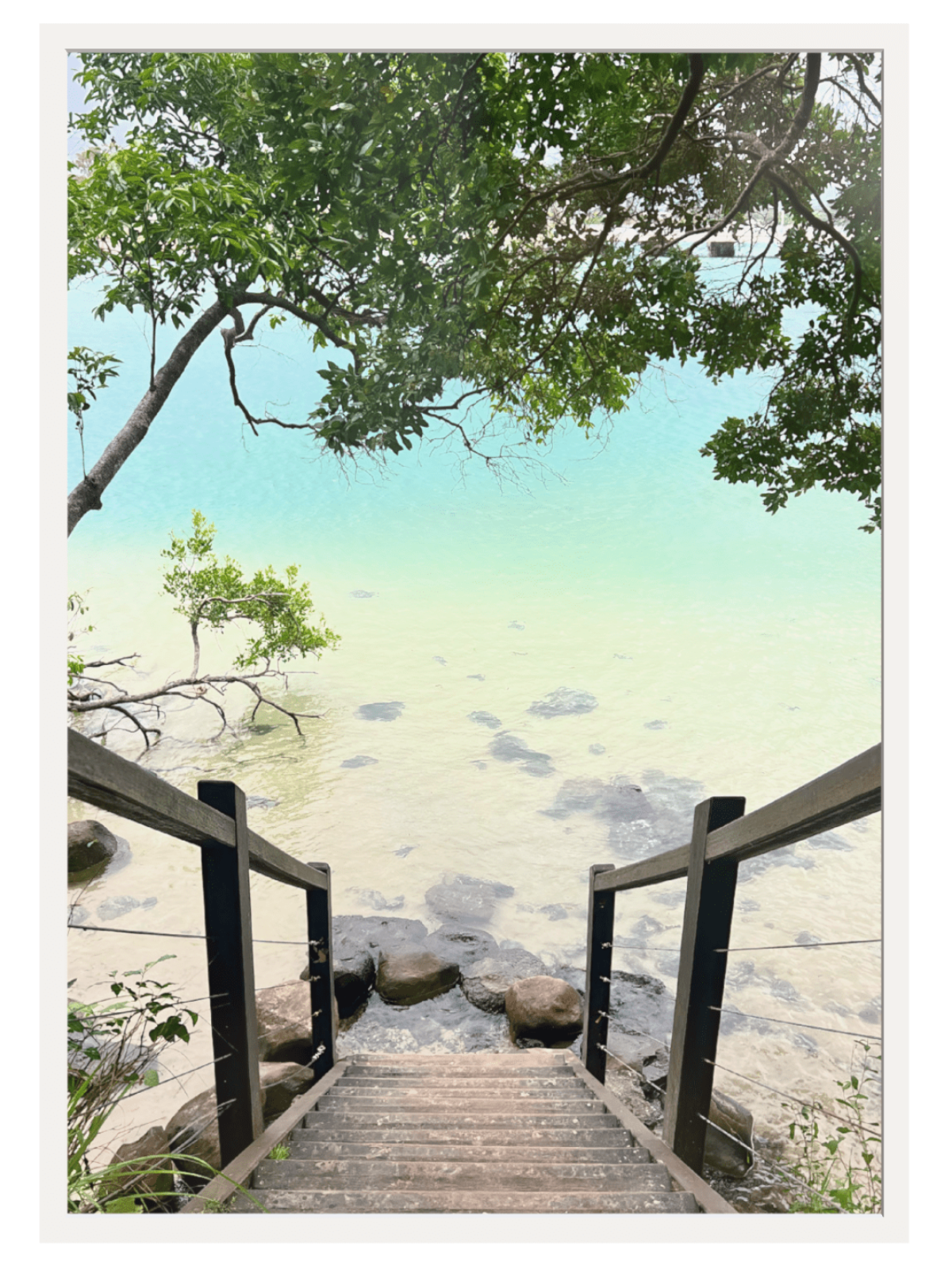 Wooden staircase leading to a tree-lined path over water with a gradient sky.