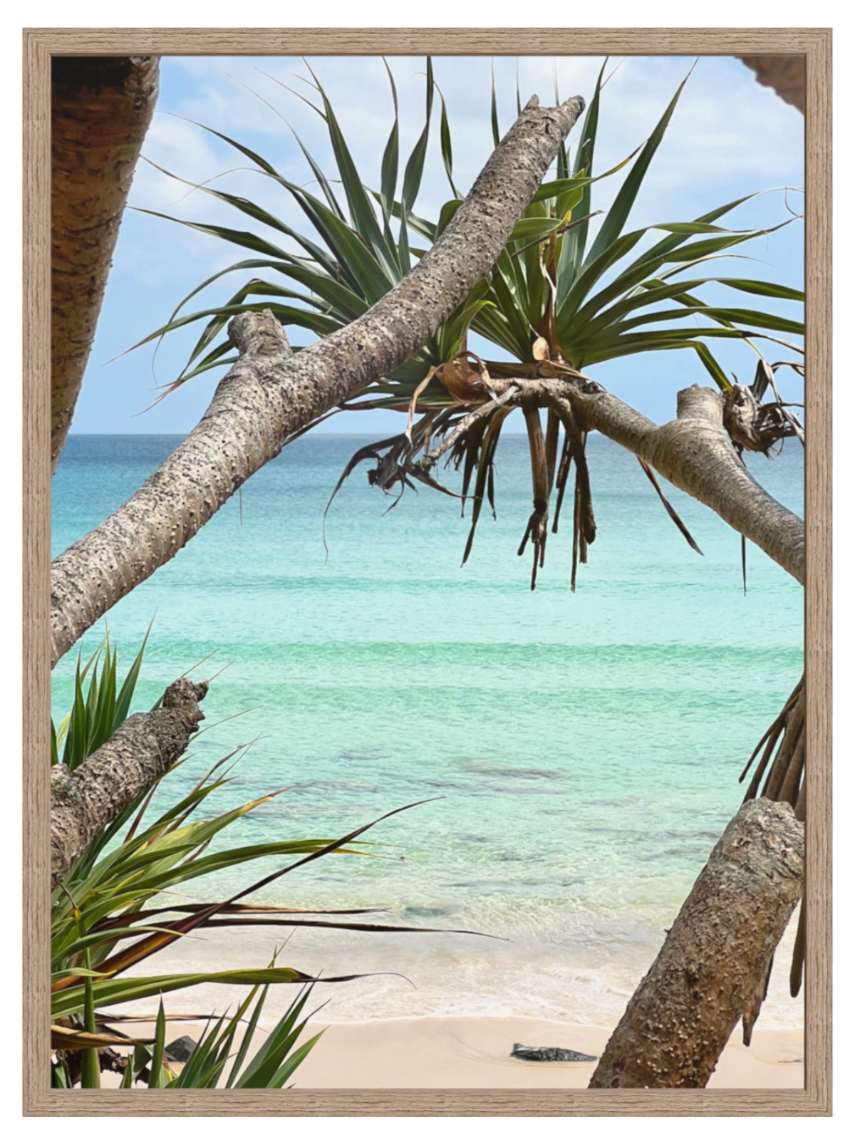 Tropical beach scene with palm trees and clear blue water.