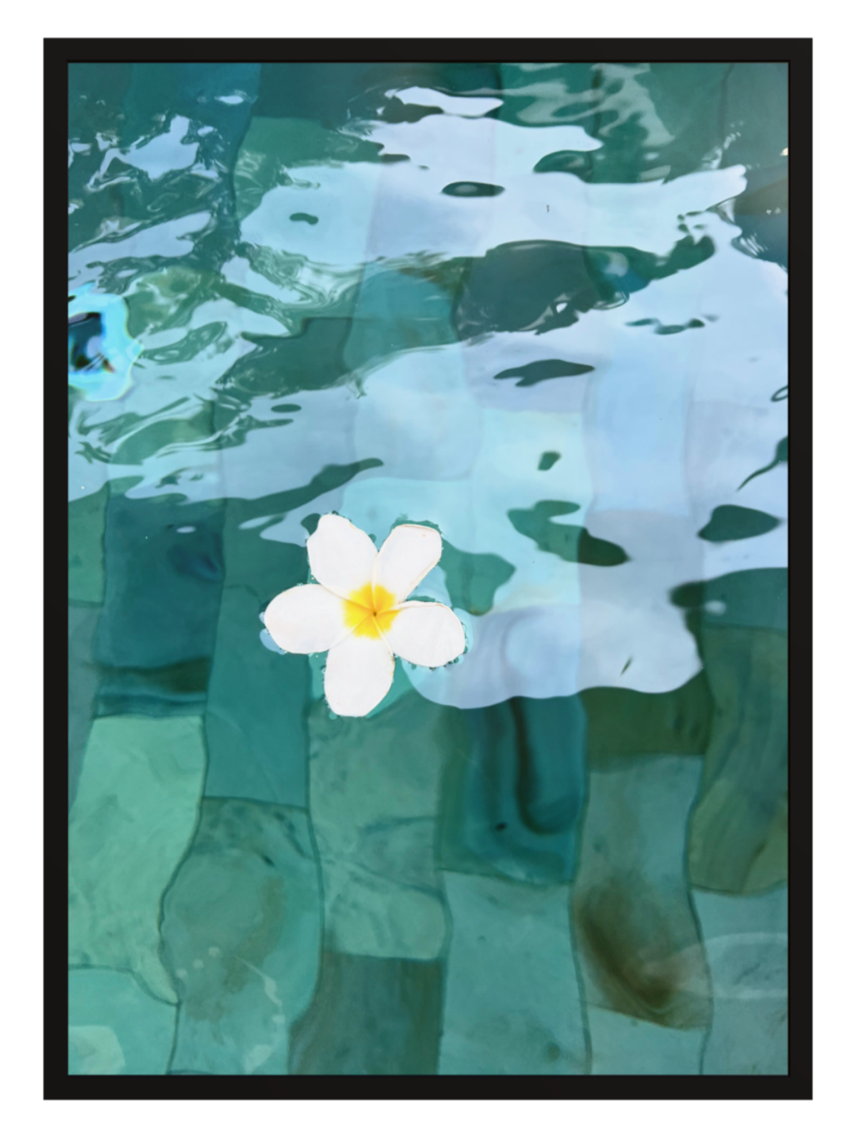White flower floating on clear blue water with a black border