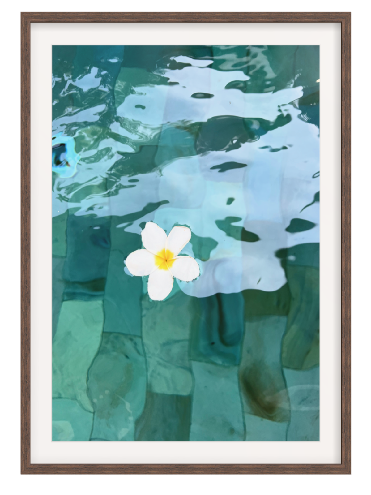 chocolate Framed with border artwork of a white flower floating on water with a brown frame.