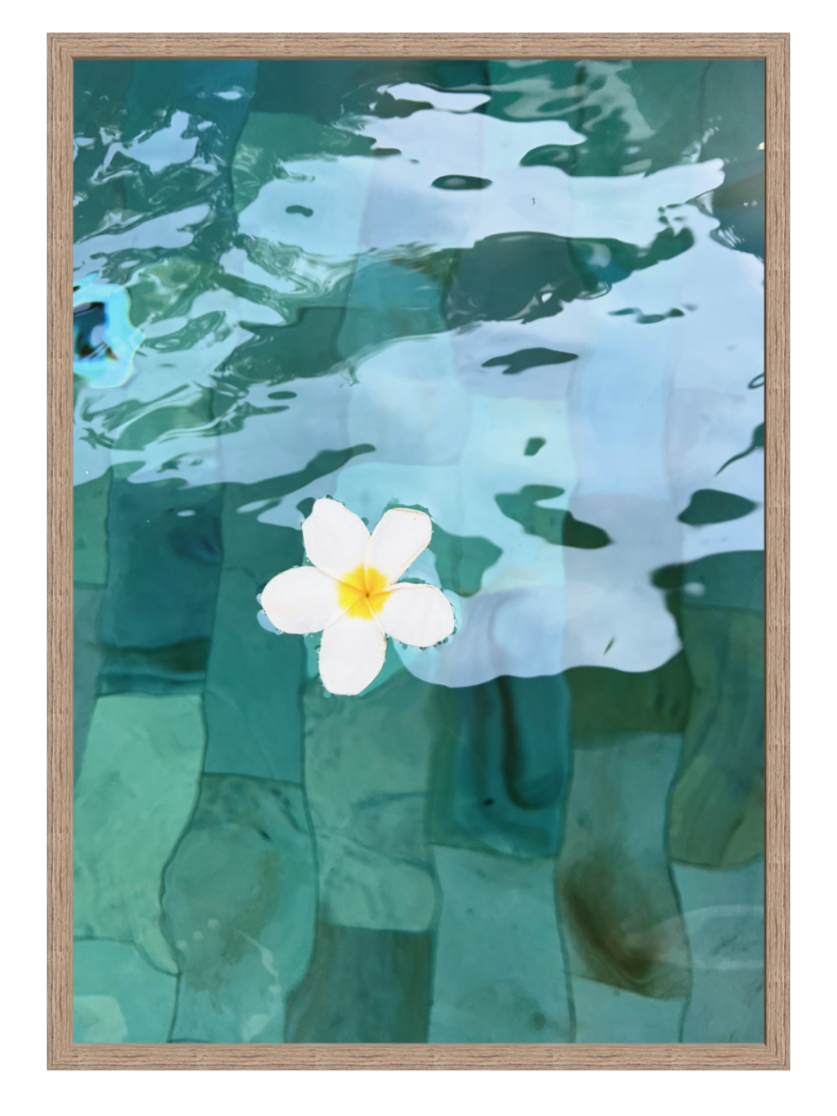 Framed artwork of a flower floating on water with a hazel wooden frame.