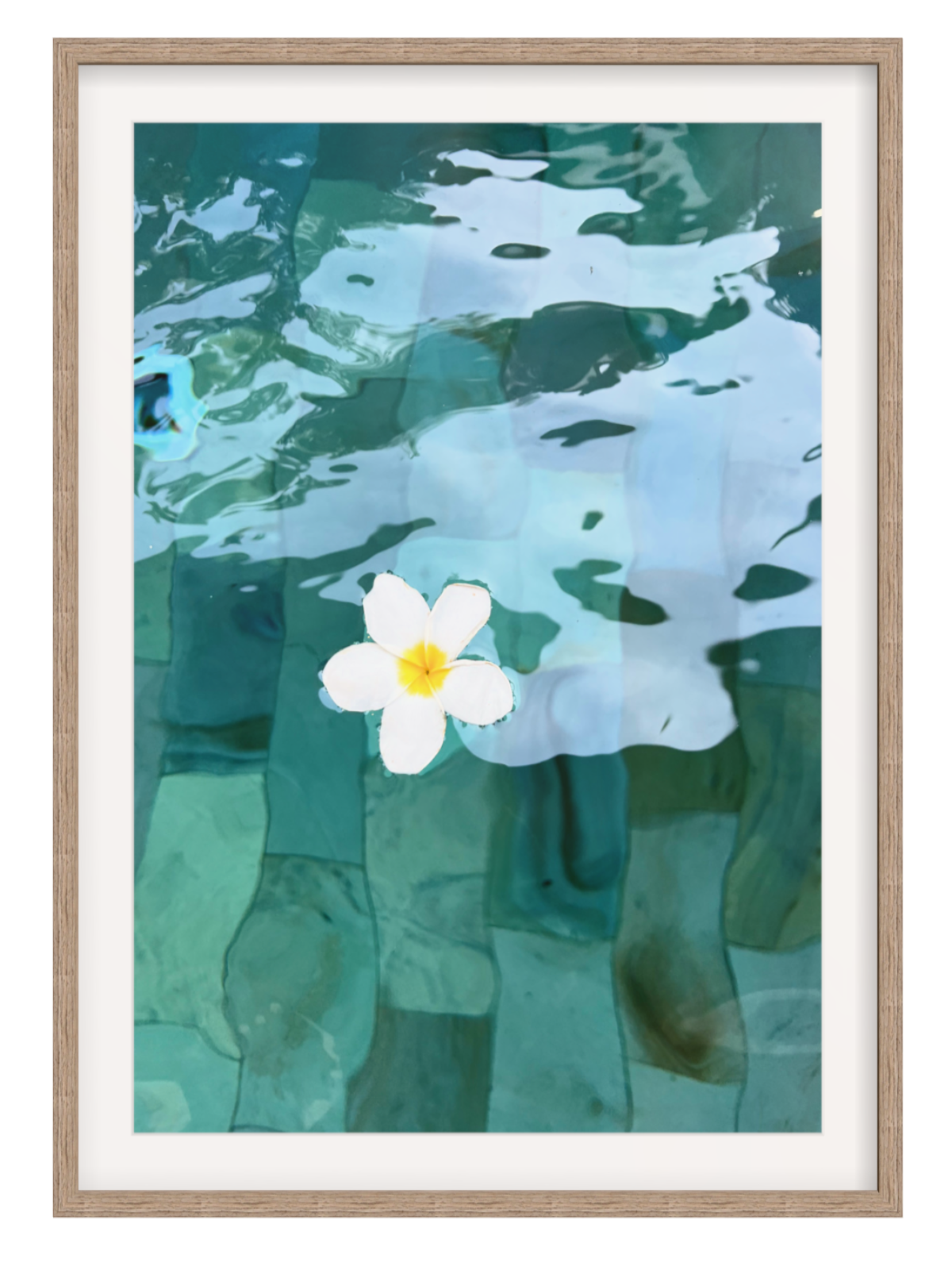 hazel Framed with border artwork of a white flower floating on water with a wooden frame.