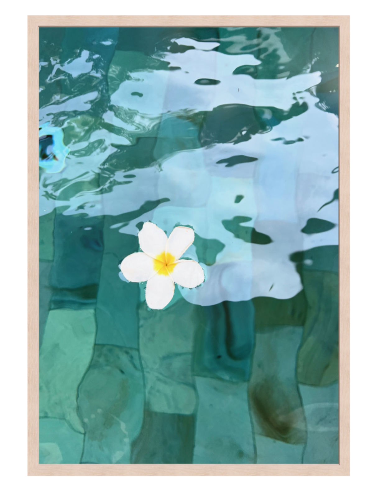 Framed artwork of a white flower floating on water with a light oak wooden frame.