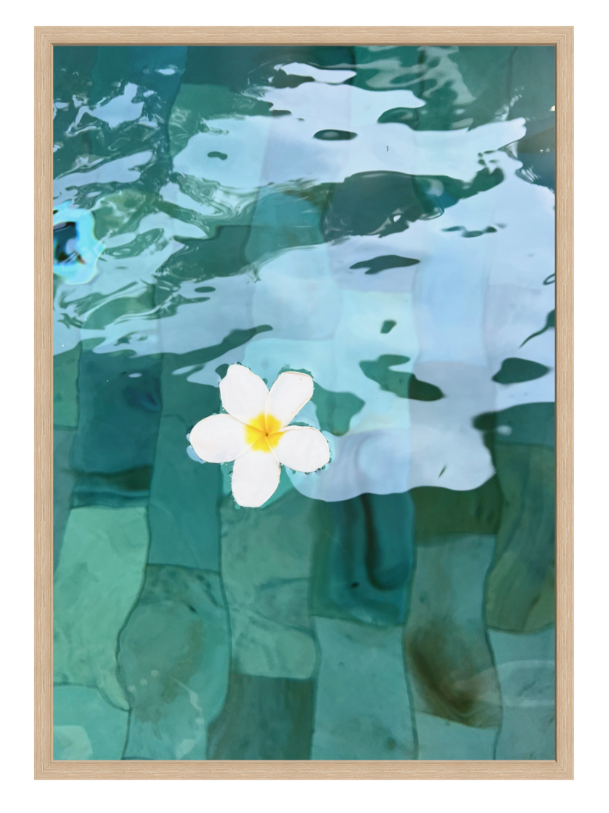 Framed artwork of a flower floating on water with a oak wooden frame.